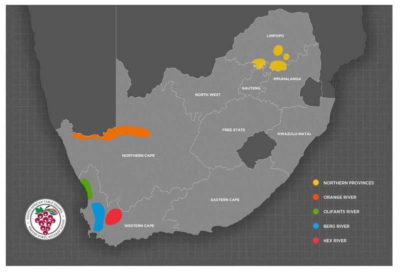 South Africa’s Table Grape Industry Produce Report